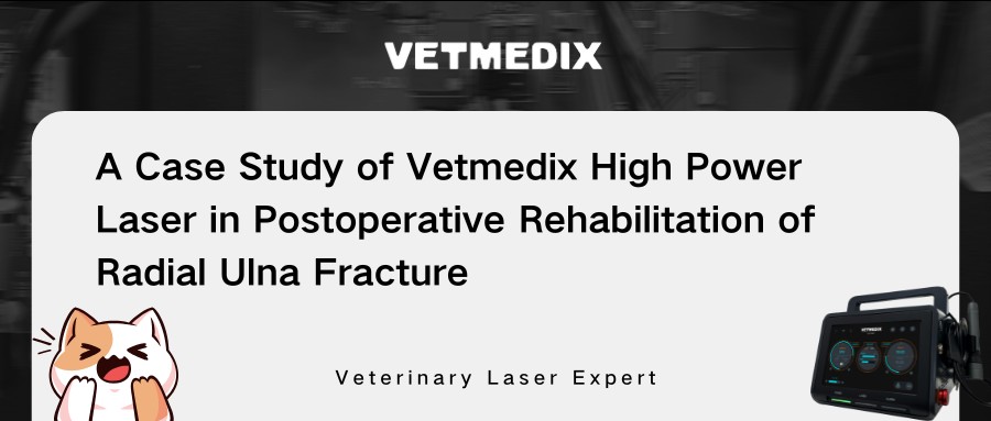 VetMedix Case Sharing 丨 High Power Laser Therapy in the Postoperative Rehabilitation of Radial Ulna Brudd