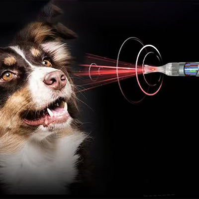 Hvorfor bruke klasse IV laser i veterinærmedisin?